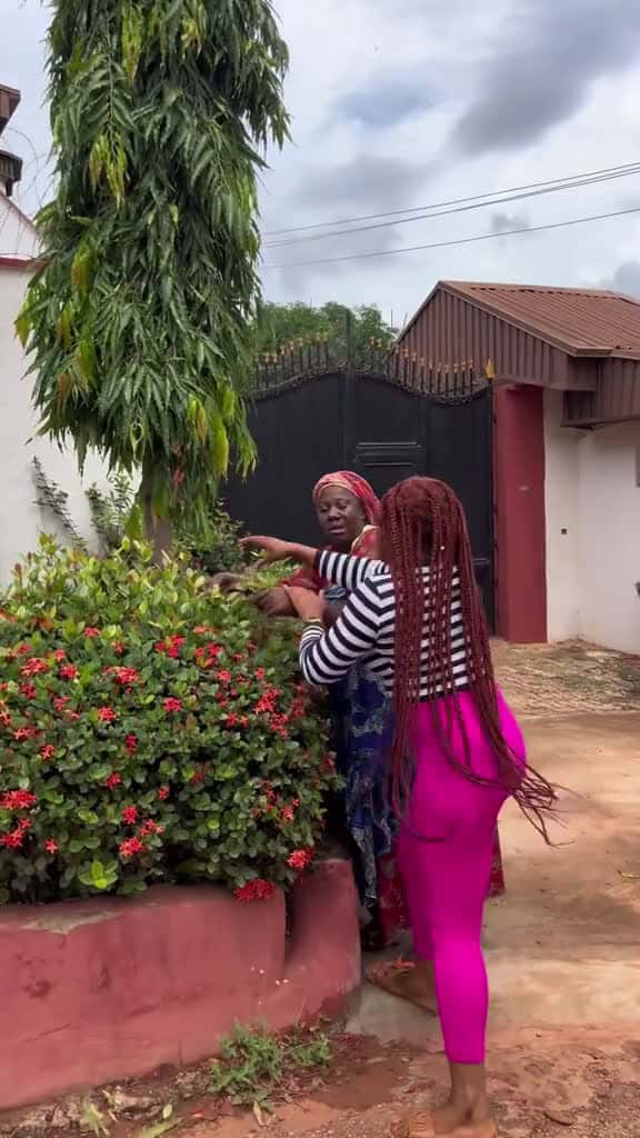 Cover for Evil daughter in-law did unbelievable thing to mother in-law part two trending 55127 #shortvideos
