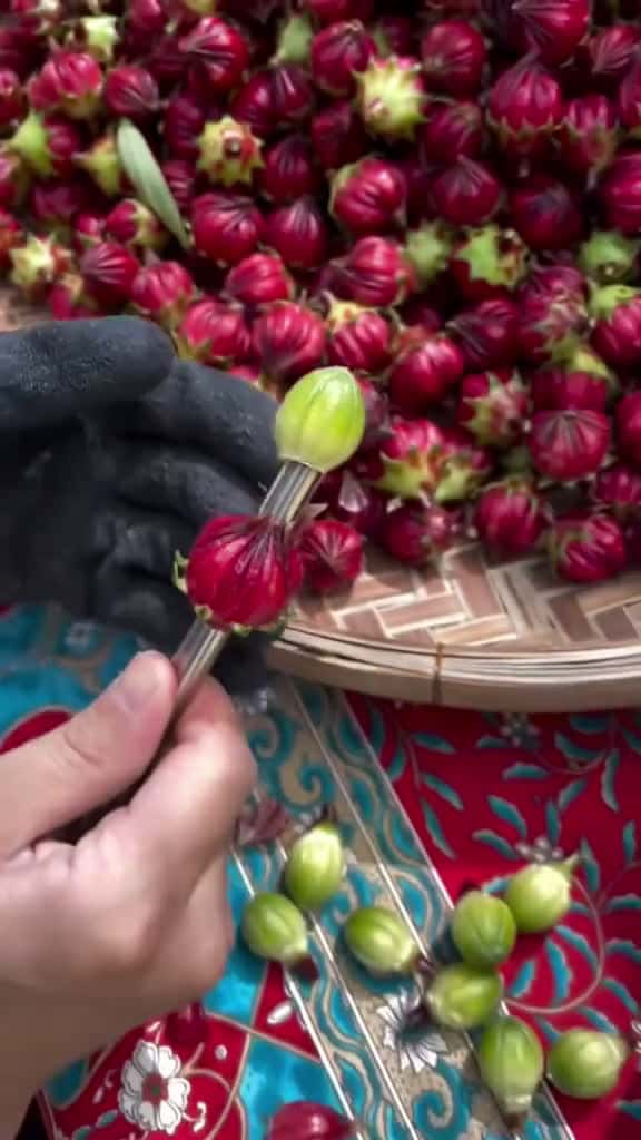 Cover for 1 minute Amazing Fruit fruit asmr fruits 08650 #trend