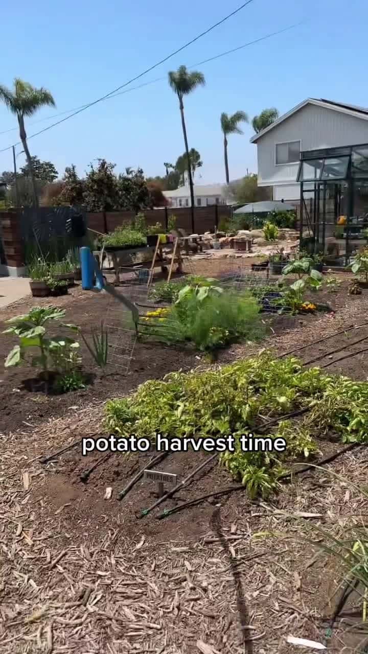 Cover for Harvest Time Be Like.