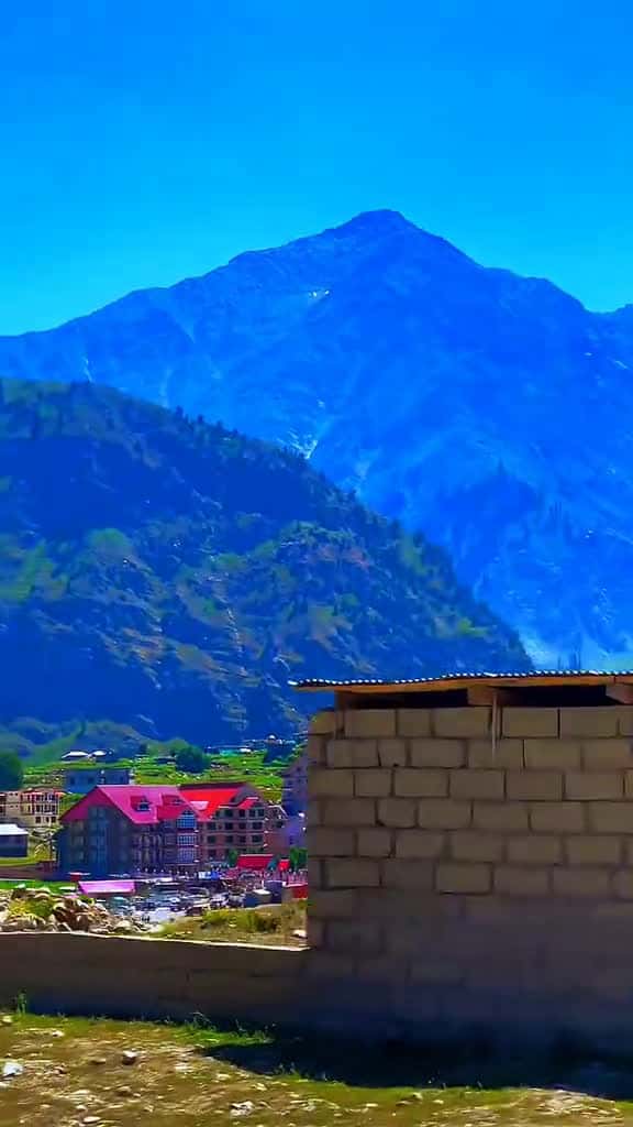 Cover for kitne dinoon k bad mele ho  . . . . . . naturetravel nature naturephotography tra 01889 #nicevideo