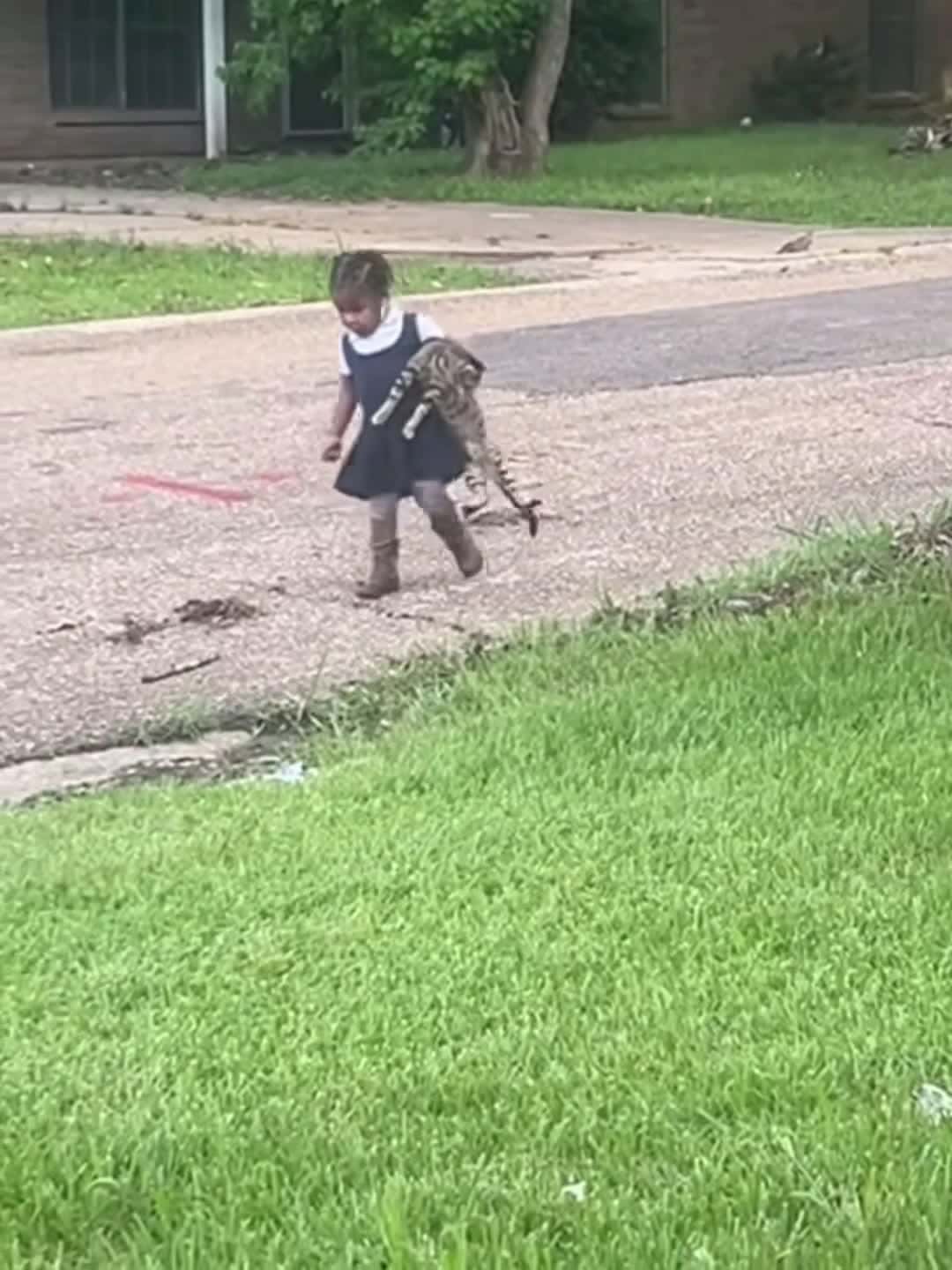 Cover for Our Grand Baby Lynnly Was Scolding Her Cat For Running Out of The House… She Went and Got Her Cat and Brought Him Home…