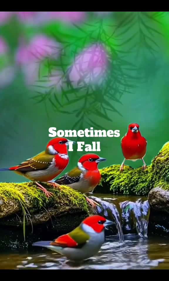 Cover for Come Jesus come -cece winans . . . . . . . . lyrics songs gospel music christiansong fyp 77342 #trendingscoopz