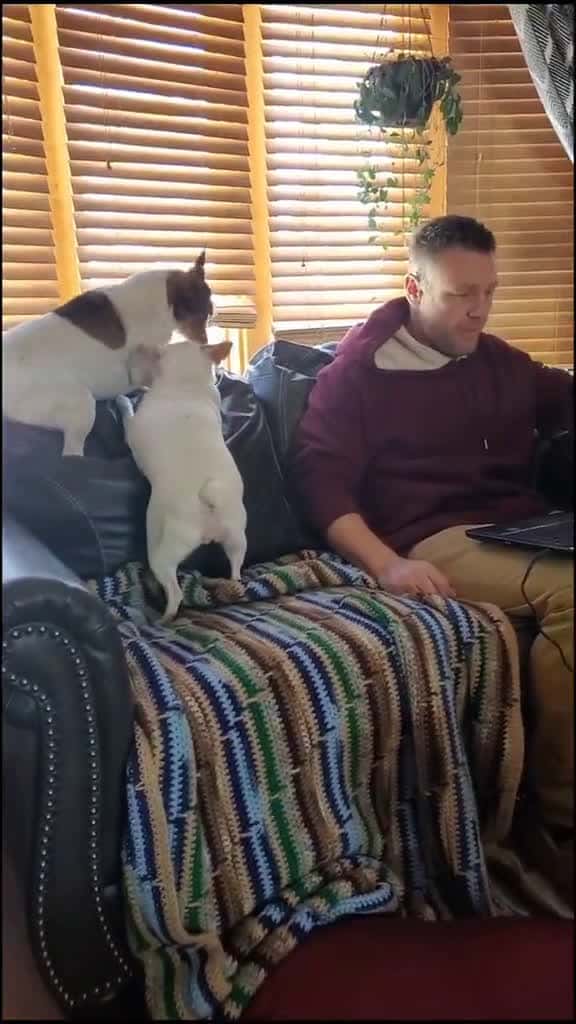 Cover for When we try to get anything done... dangdogs 51269 #ilovescoopz