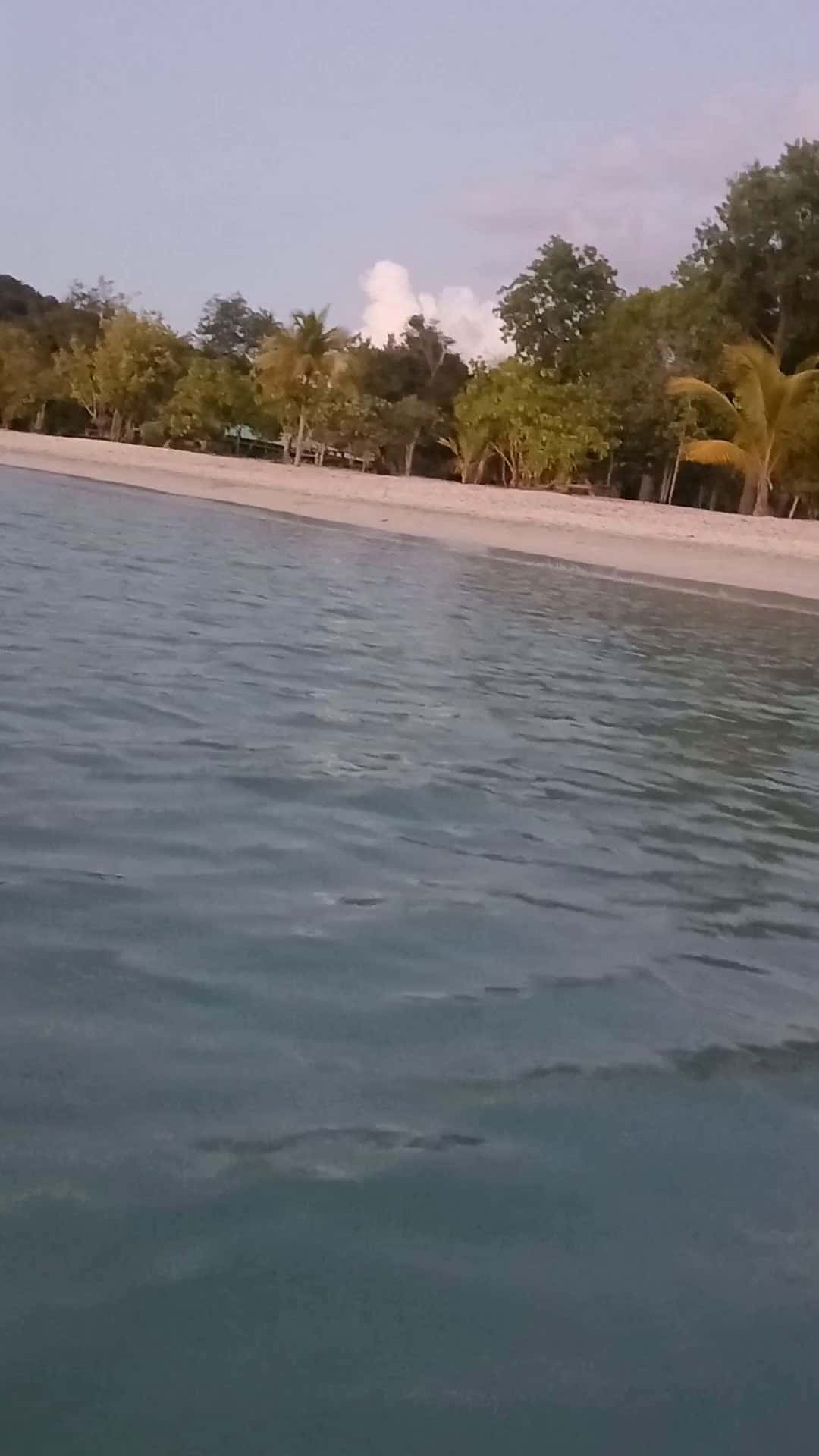 Cover for #caughtoncamera    -take a swim with me. #viral  #scoopz  #viralvideo  #follow  #god and  #islandgirl 
