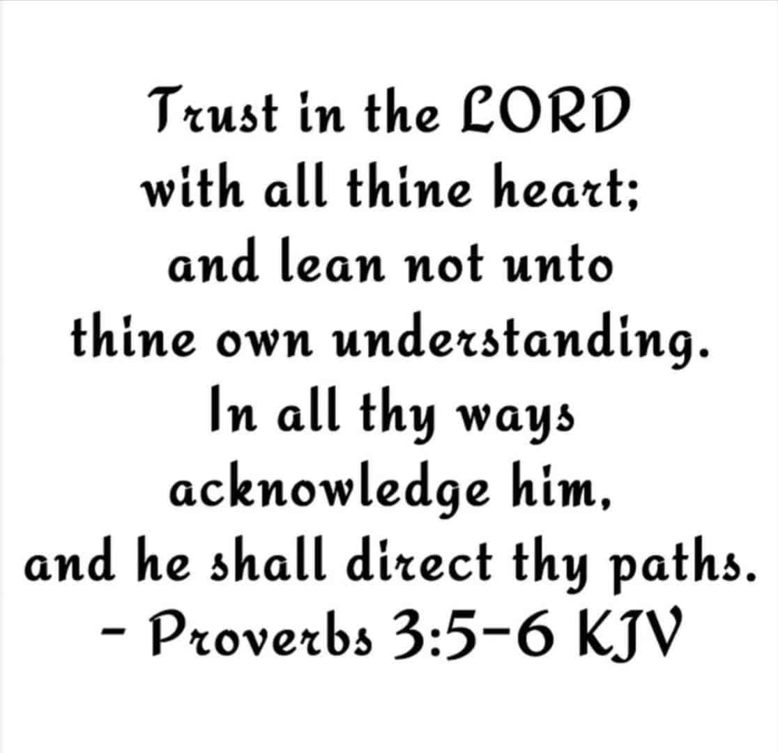 Cover for #dailyscripturesThis is a great scripture for us to go by a daily basis because its encouraging, uplifting, and inspiring for us to keep God in our hearts at all times. Trust God's understanding. Put God 1st so he can lead u.
