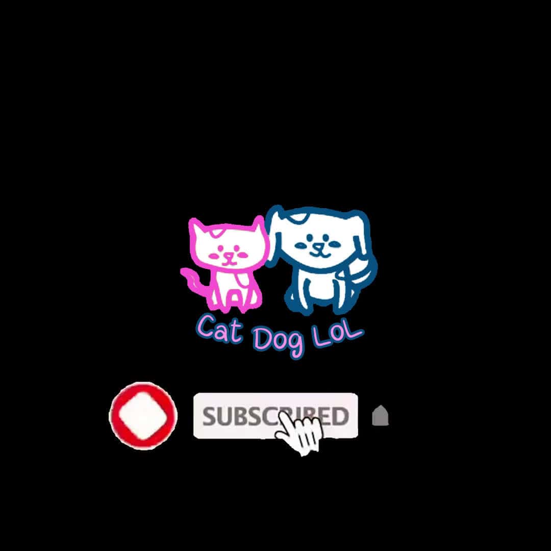 Cover for Cute cat & funny cats videos compilation 2021 #43 #cats #cat #cutecats #cutecat #funnycats #funnycat #funnyanimal #cuteanimal #awwanimal #funnypet #cutepet