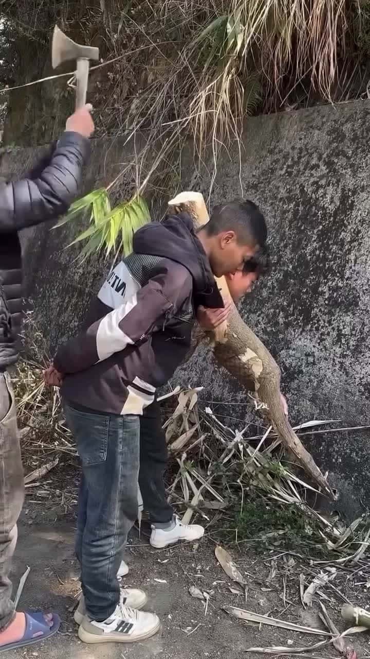 Cover for 😅🤣🤣watch my funny video  #funny #funnyvideos #fyp #trending #scoopz #viral