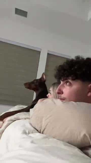 Cover for The dog and her are literally the same p