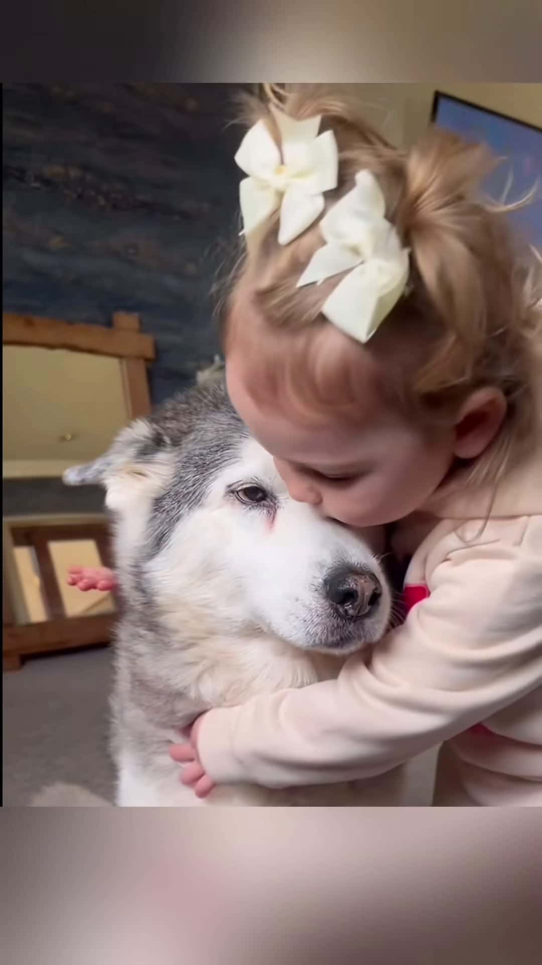 Cover for #CaughtOnCamera My son at the end of the video #pets #dogsoftiktok #dog #dogandbaby