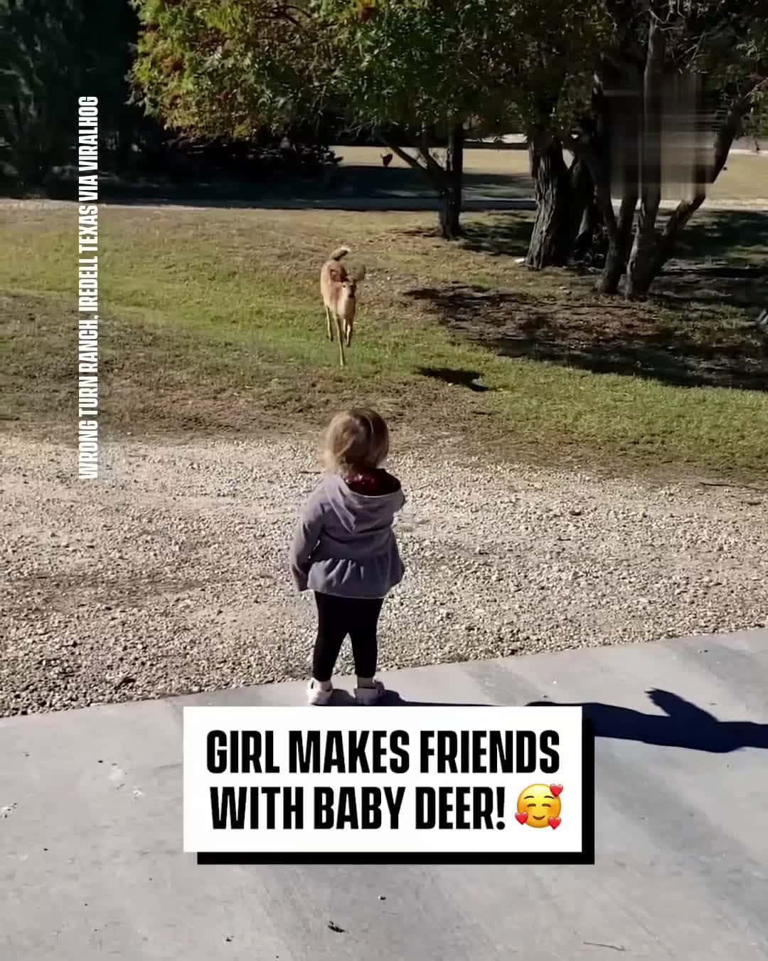 Cover for Little Girl Befriends A Baby DeerThe cutest friendship you'll ever see!