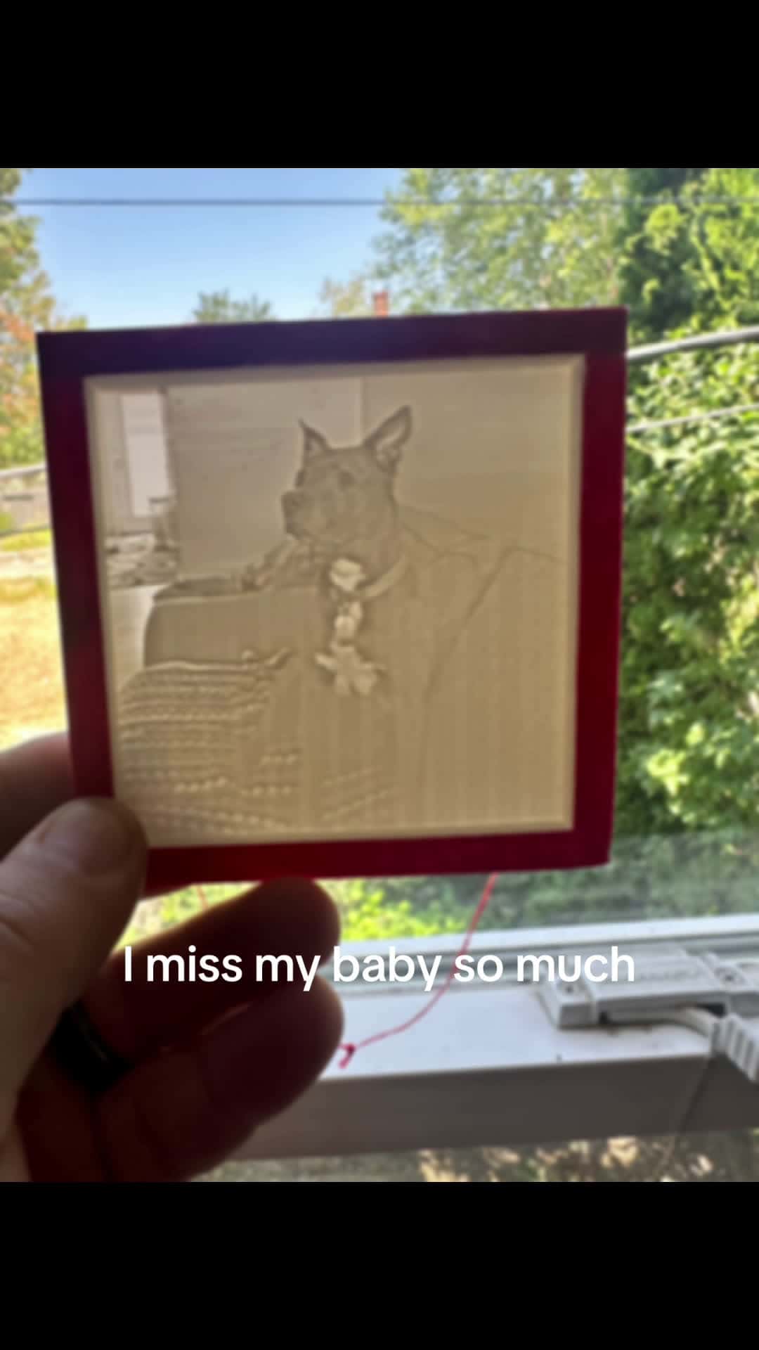 Cover for My brother 3d printed this