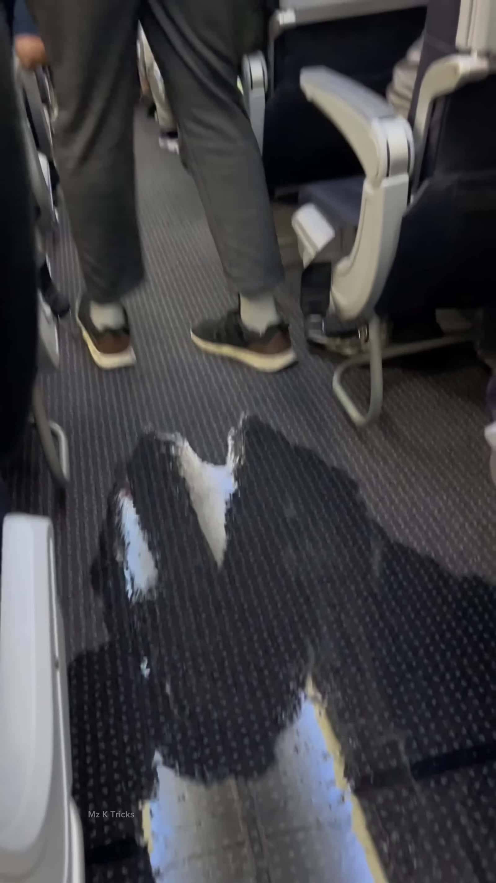 Cover for unbelievable plane cabin flooded mid AIR shortsvideo shortsfeed facts woodstatue woodart