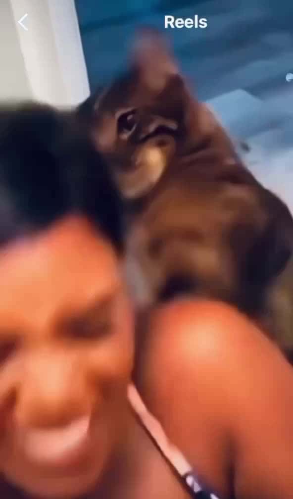 Cover for #TooFunnyToScroll  #funny  #rolling  #