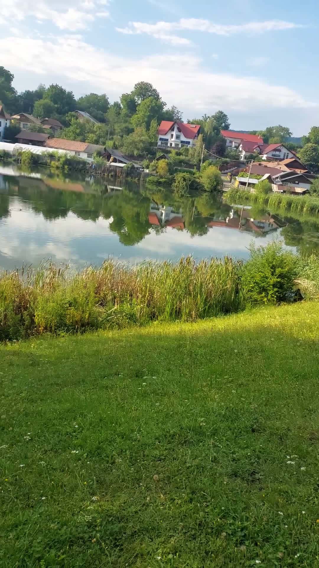 Cover for nature walk by the lake 