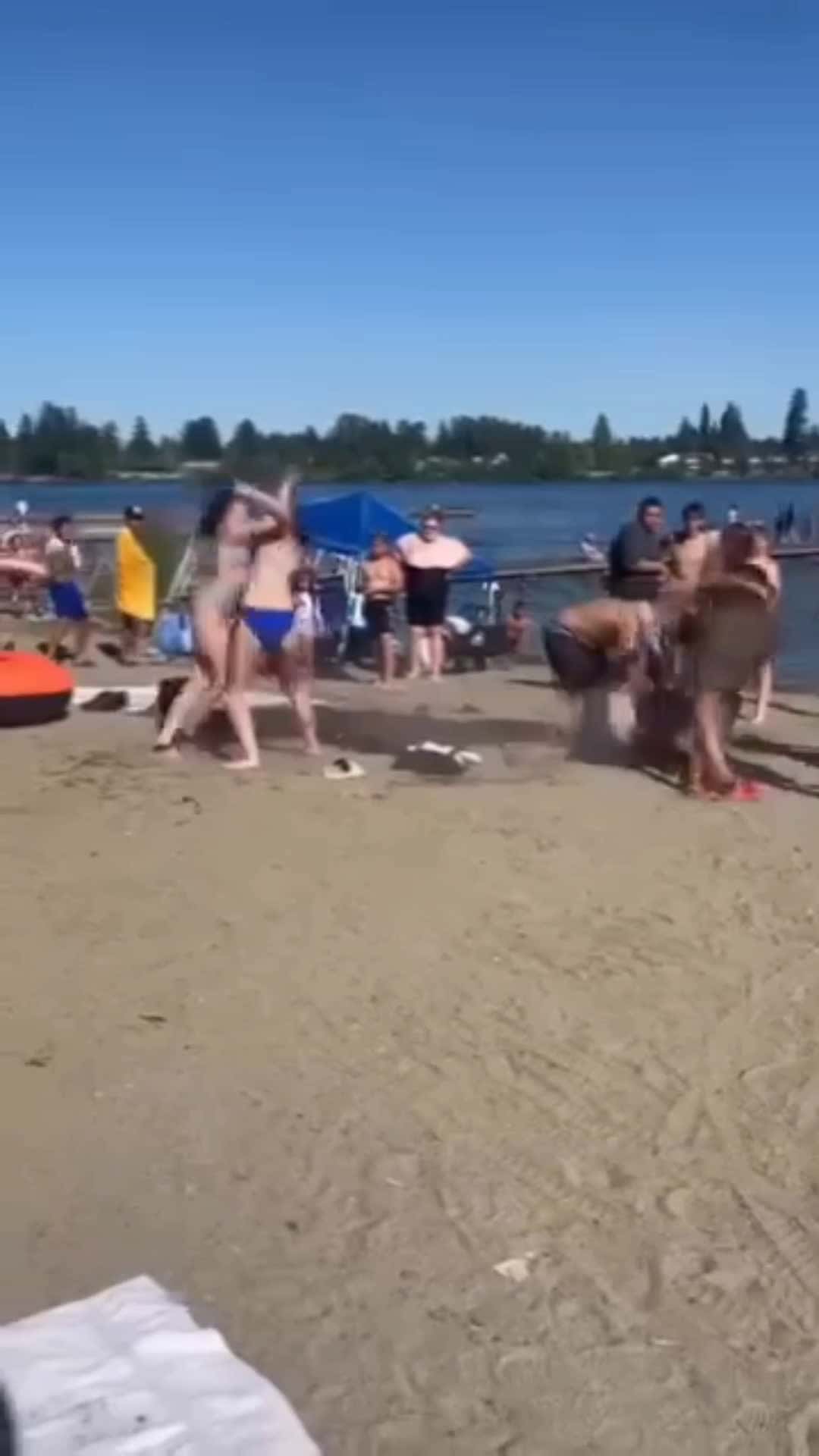 Cover for (camera person low-key sucked at recording it)context the girls who are getting their asses beat where fat shaming the bigger girl in blue so her hgs took care of it  #fightcam #girlfights #scoopz 