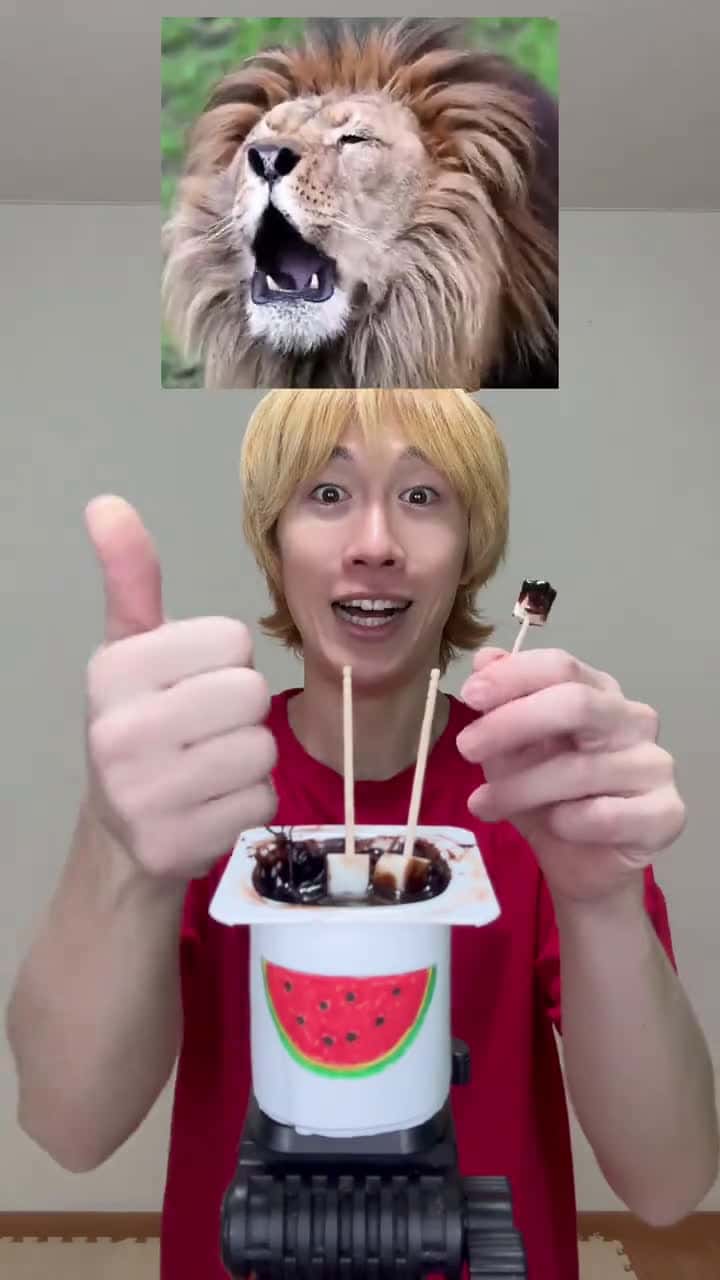 Cover for watermelonchocolatelionsushininjafunnycomedyanimal 46625 #shortvideosscoopz