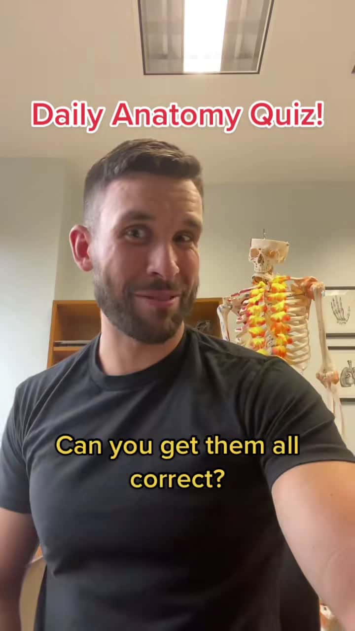 Cover for Let’s see what you’ve got 😋 #fyp #foryoupage #anatomy #anatomyandphysiology #nursesoftiktok #doctorsoftiktok #tiktokchallenge