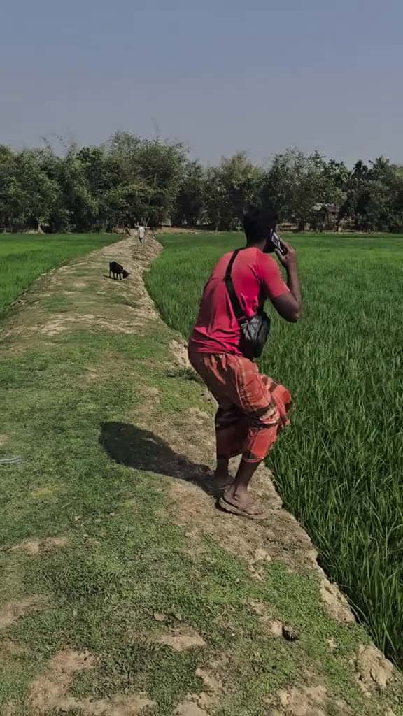 Cover for funny funtrending 63486 #shortvideos