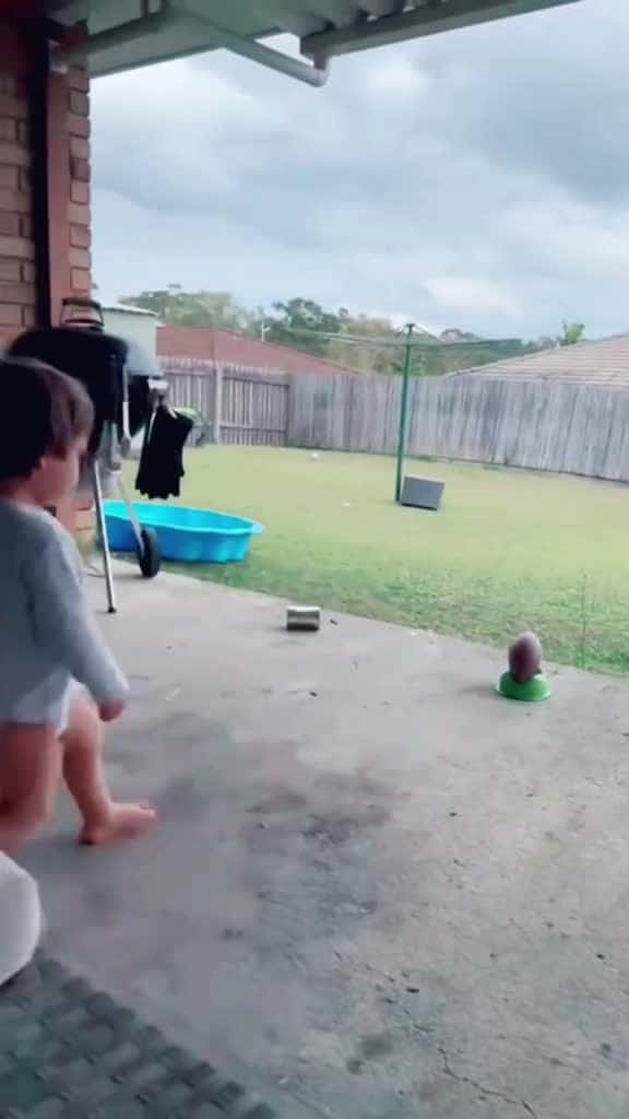 Cover for Funny kids 🤣🤣 #funny #kids #fyp #foryou #omg #funnyvideos #funnymoments #fun #viral #viralvideo #usa #scoopz 