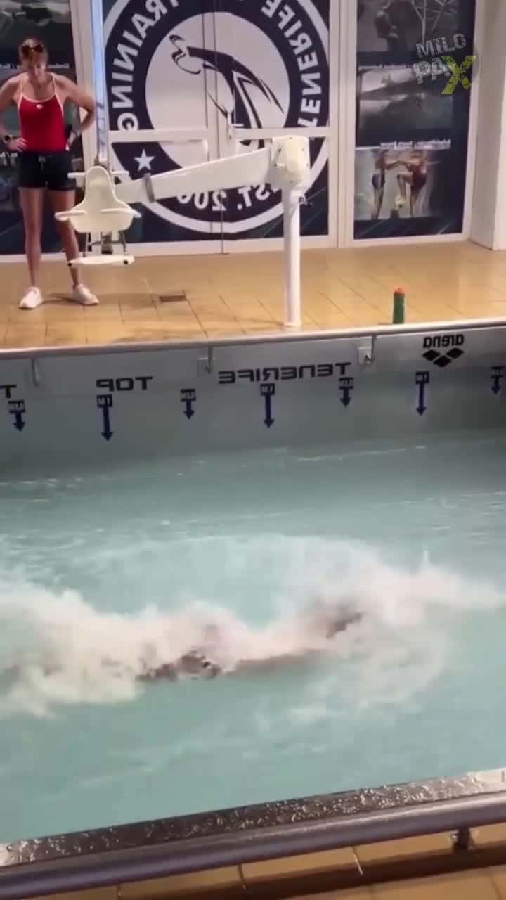 Cover for Ever seen a treadmill for swimmers The future of swimming is here, introducing a revolutionary device that merges technology and athleticism seamlessly This innovative pool le