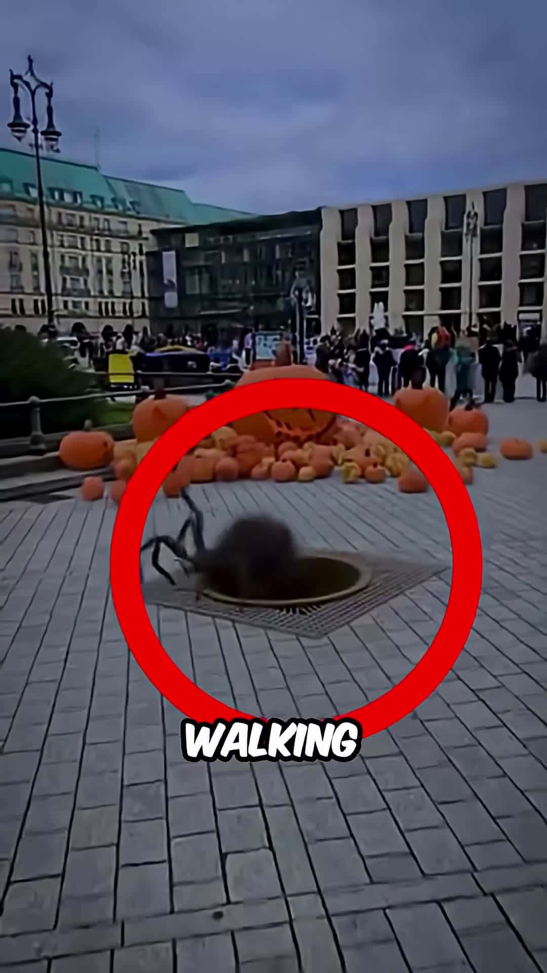 Cover for He Dropped His Phone In A Scary Sewer Drain