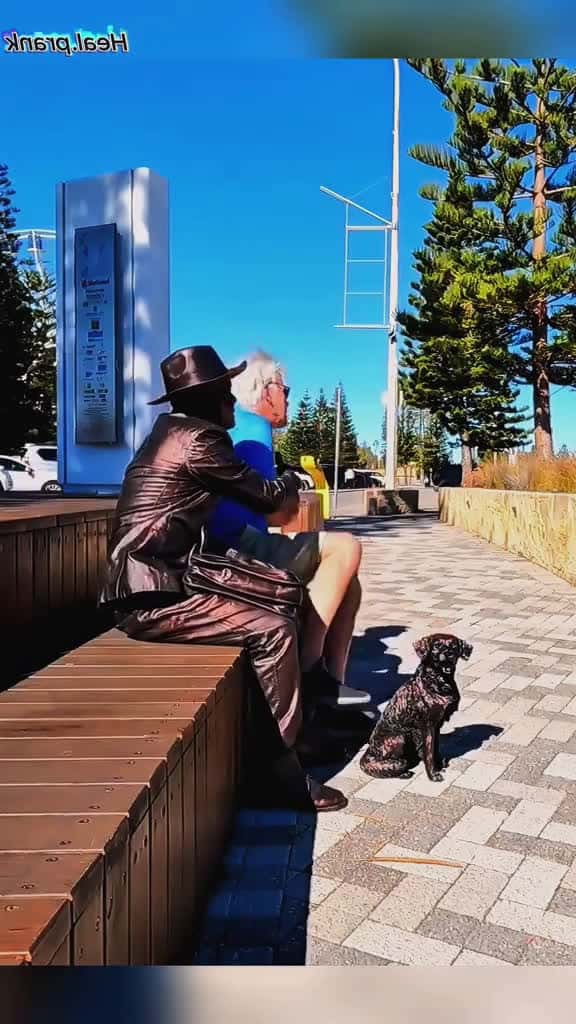Cover for Bro don t scare the elderly. They have heart disease. fpy fpy funnyvideos Foryou bushman s 78910 #shortvideos