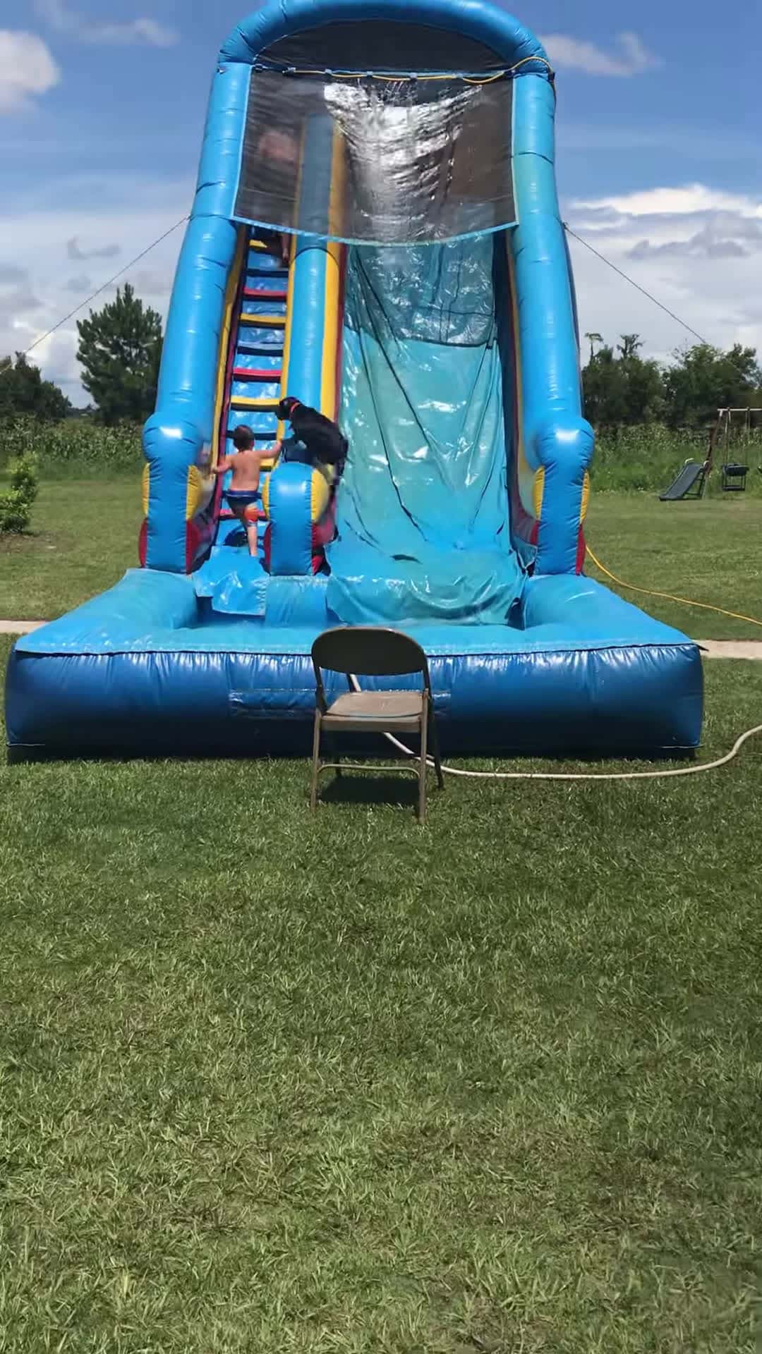 Cover for #CaughtOnCamera Happy Labrador Goes Down Water Slide.