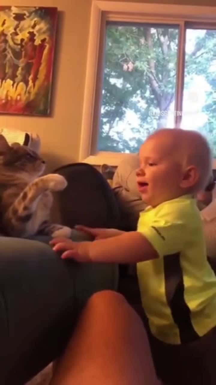Cover for #FavMovieClip Funny Fighting of babies and cats 😅 #funnybaby #funnycat #fight 