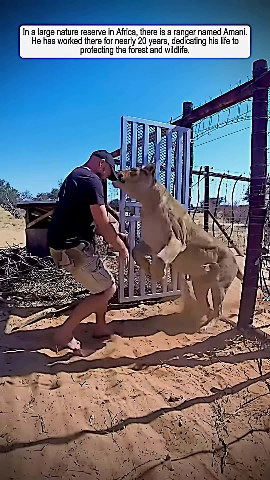 Cover for animals are so cute animals