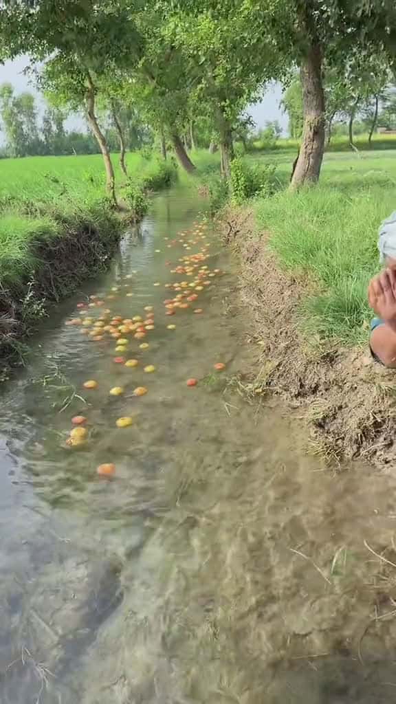 Cover for Aik Saib Khanay Ki Itni Badi Saza Kyon Di 36000 #shortvideos