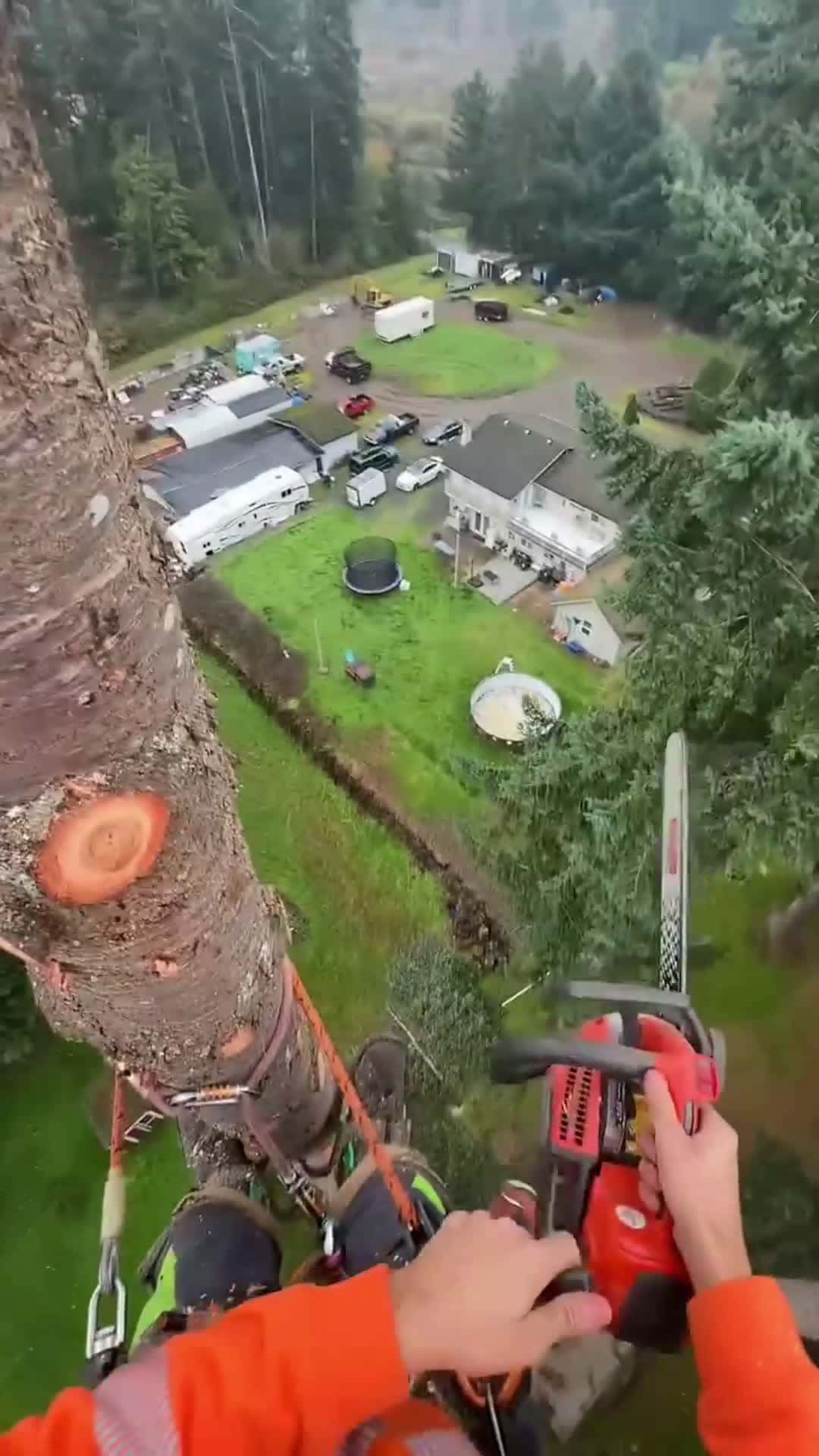 Cover for Sending A Big Fir Top..#foryoupage #follow #foryou #scoopz #shorts #fyp #caughtoncamera #trending #toofunnytoscroll 