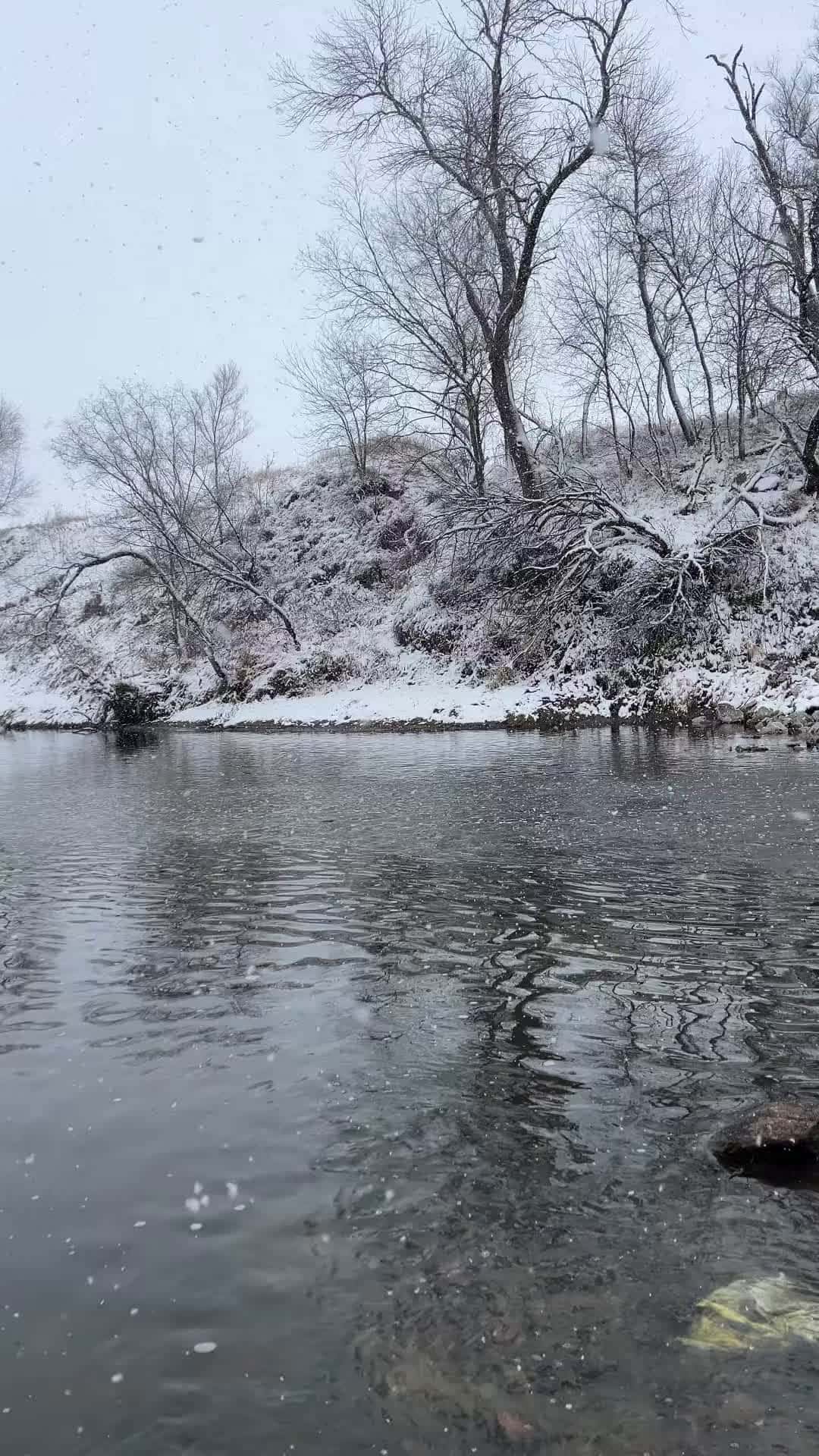 Cover for Fishing In The Snow