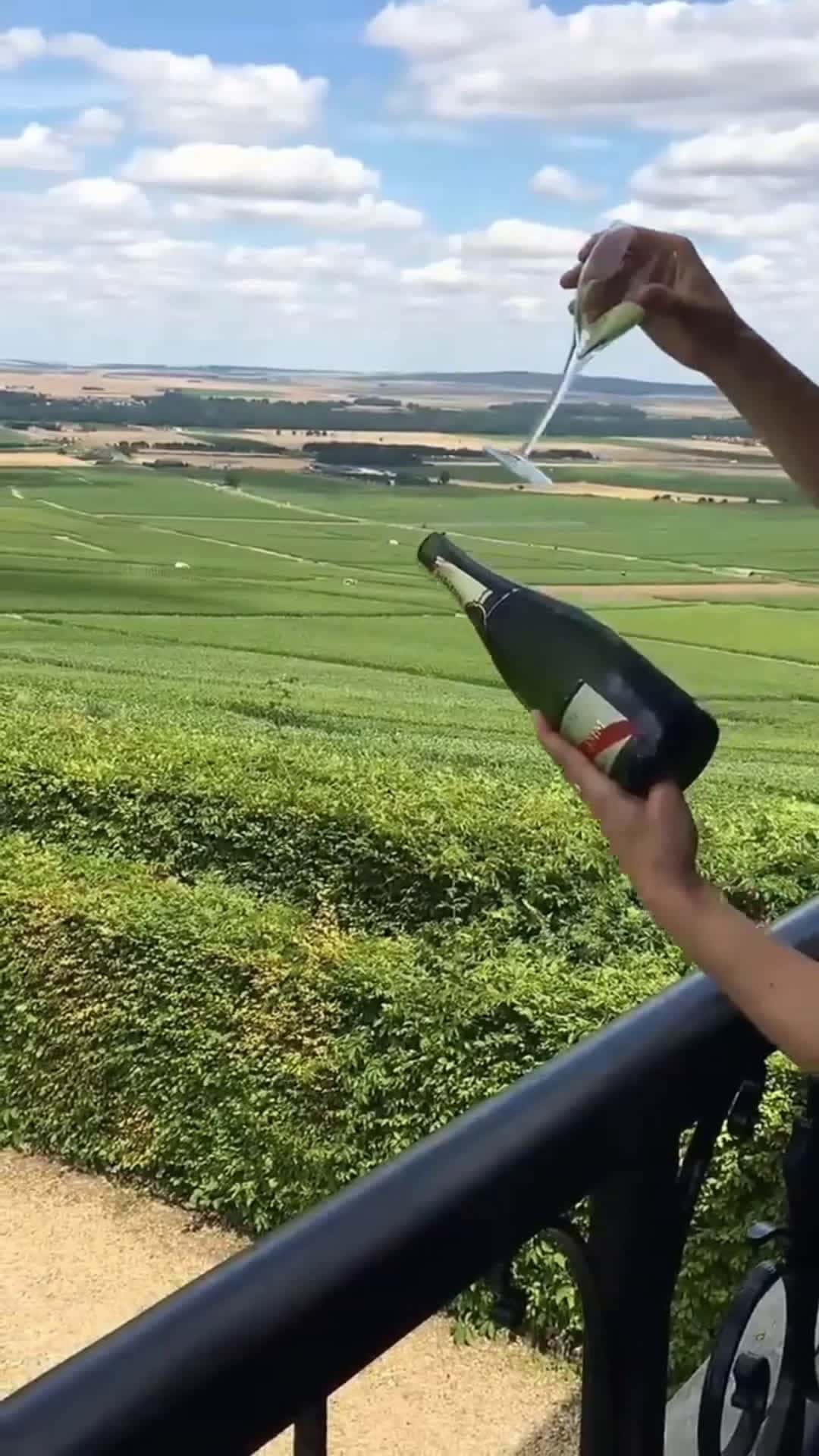 Cover for How to remove cap the airgun way