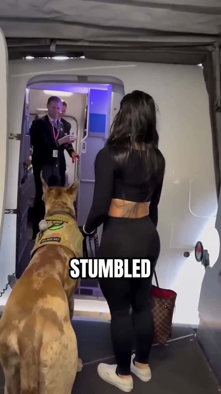 Cover for that's a very long service dog