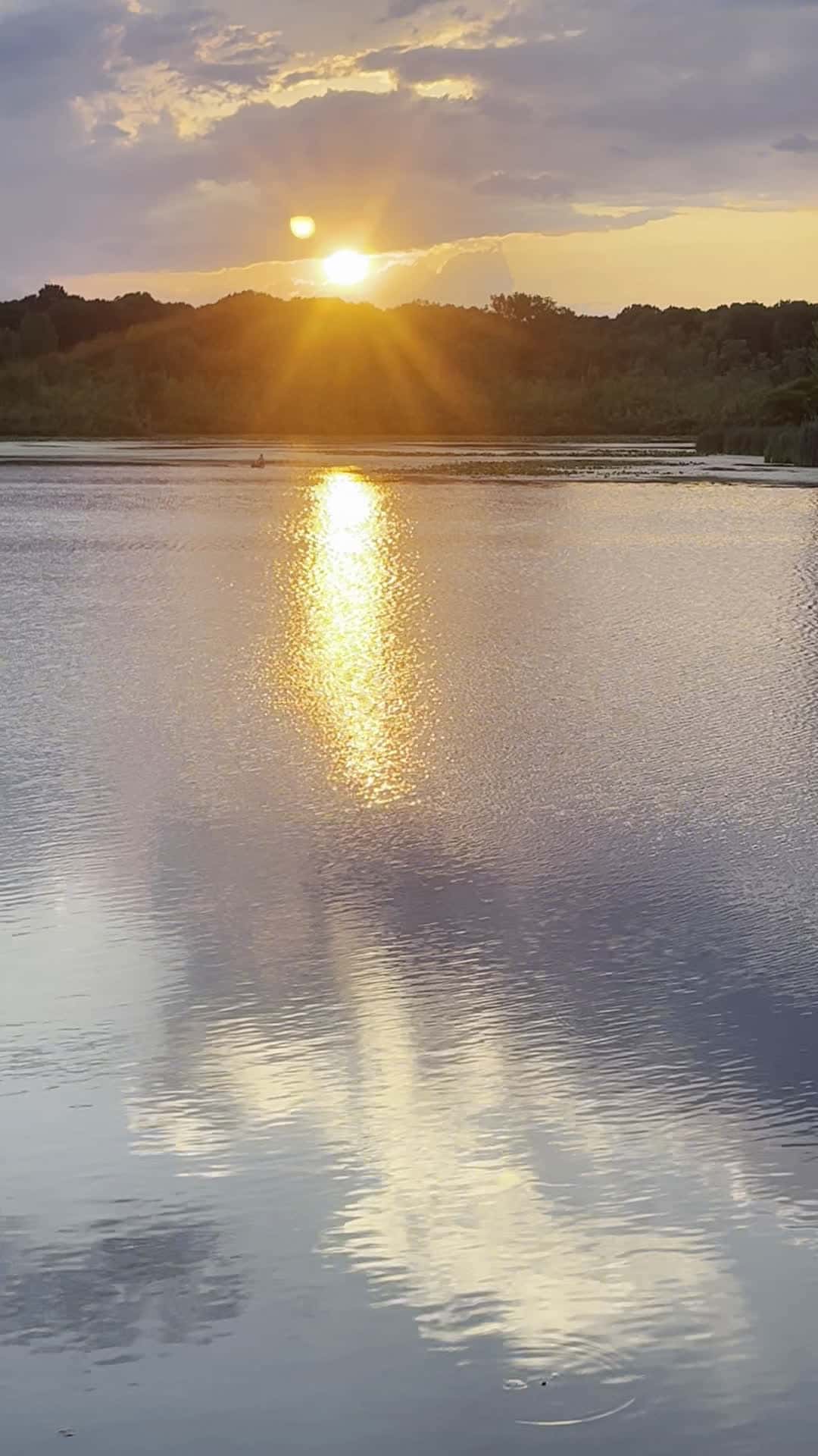 Cover for Sunsets