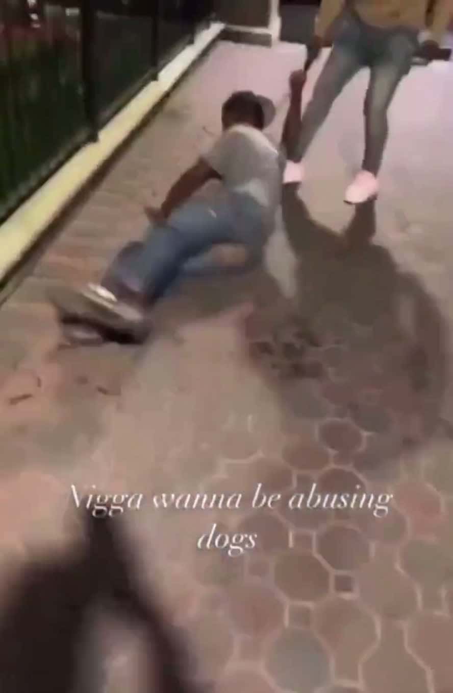 Cover for Dog abuser gets treated the way he abused his dog. 💀 #fightcam #viral #trending #foryoupage #xayso #goviral #crashout #sosastrapped #explorepage #explore #fyp