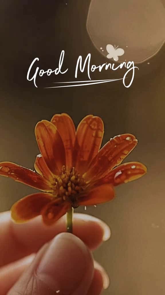Cover for fyp fyp 100k goodmorning explore goodvibes fyp viral quoteoftheday Azoura 58382 #trending
