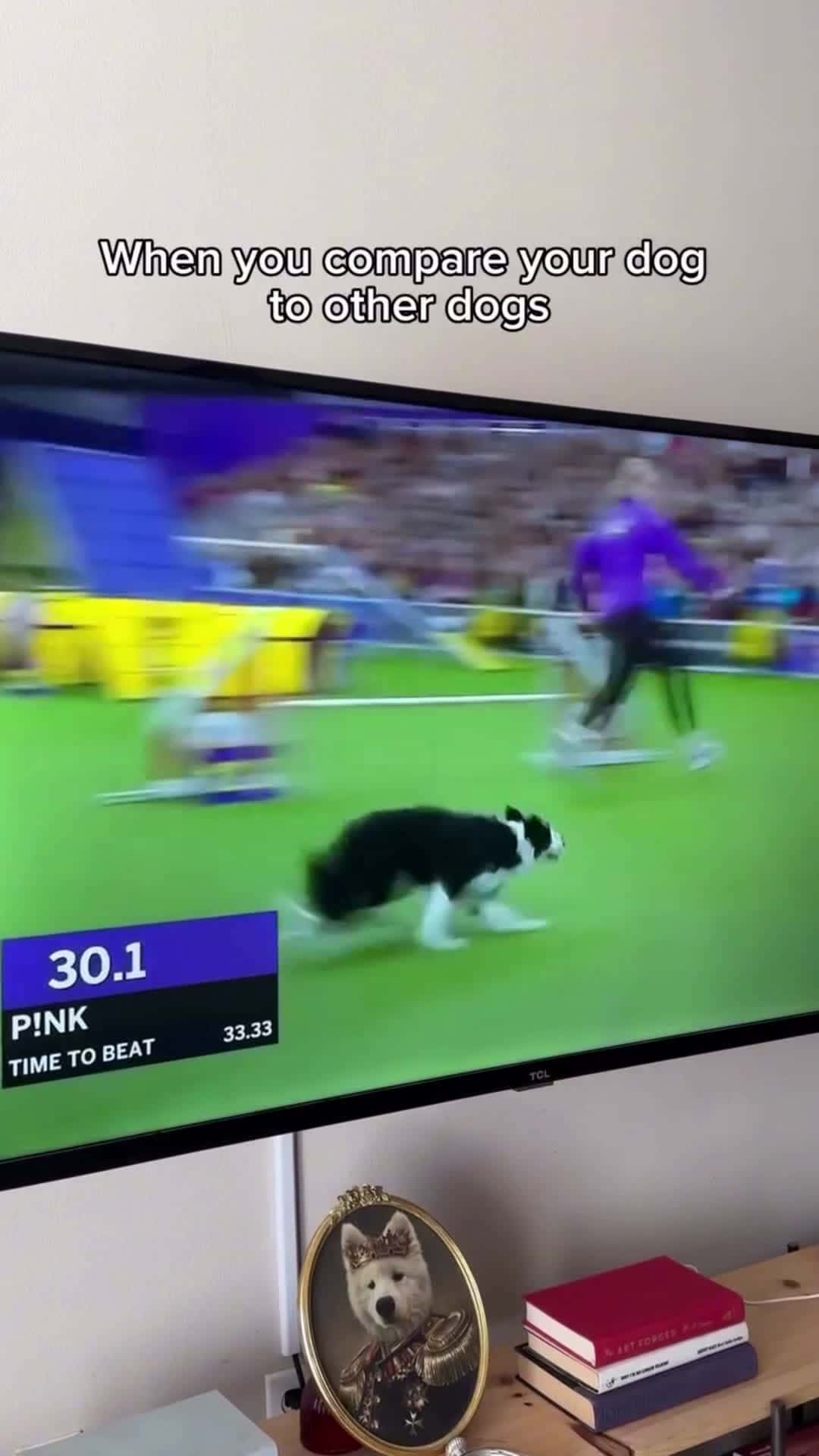 Cover for When you compare your dogs to other dogs 🐶🐩