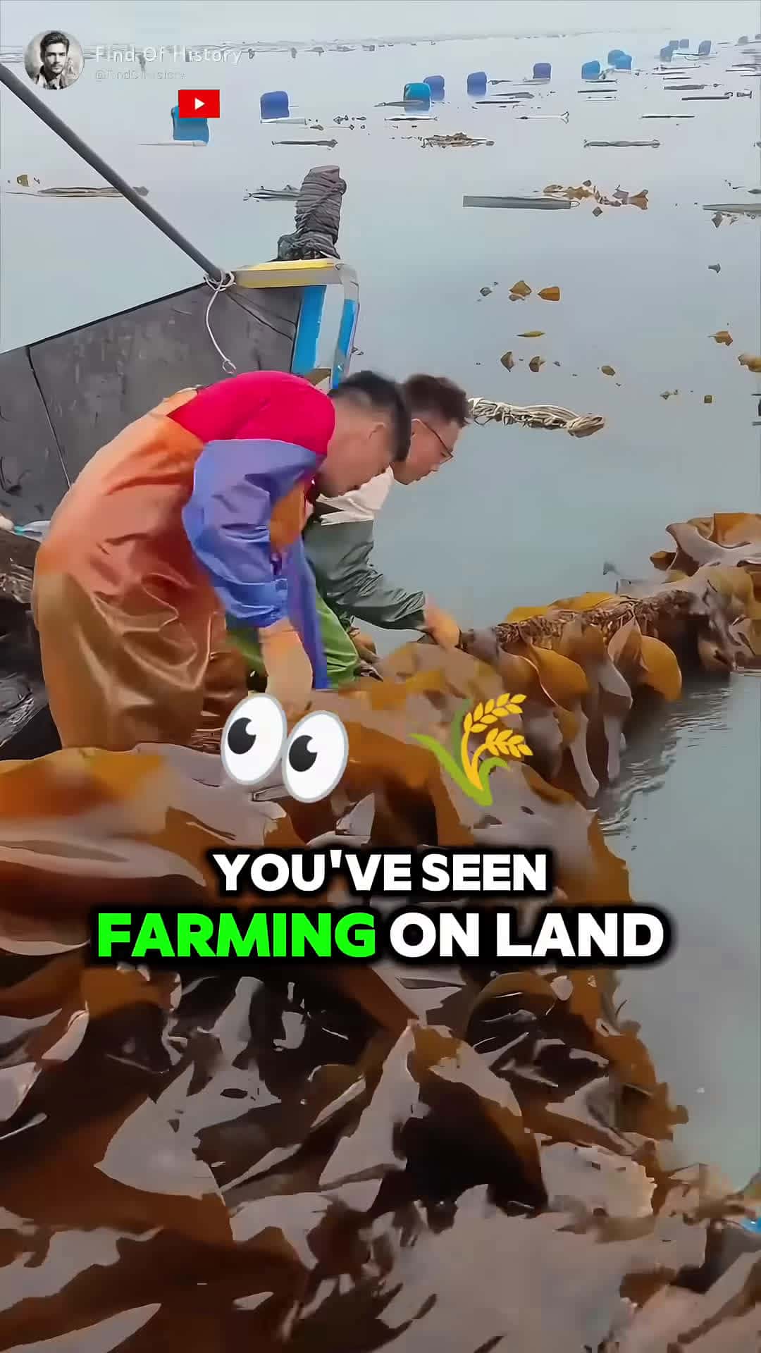 Cover for Farming in the Ocean This Will Blow Your Mind short shorts unique