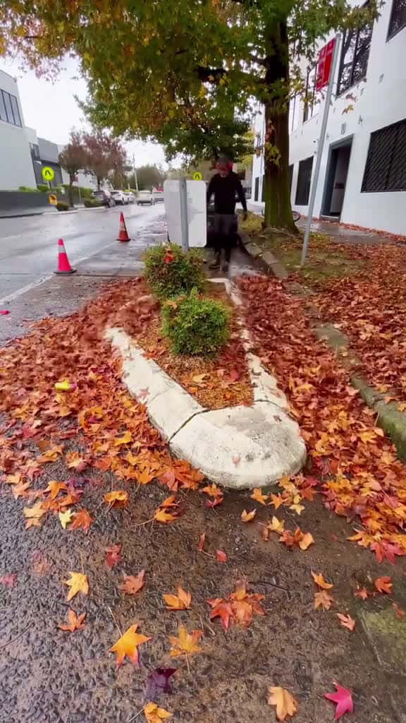 Cover for The last clips very beautiful garden gardentok cleaning cleaningasmr trimming hedges garde 52910 #shortvideos