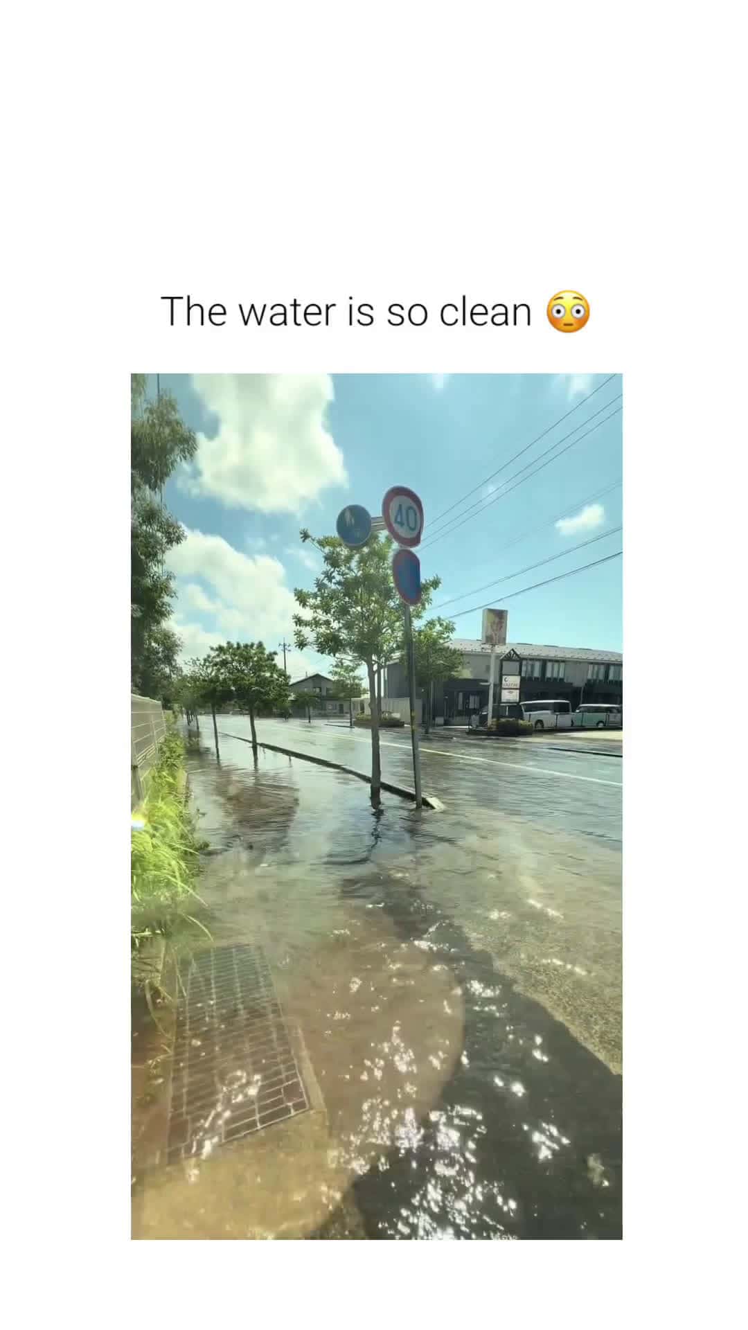 Cover for The clear weather is ironically mysterious 👀 (via:tt/user10204610419)