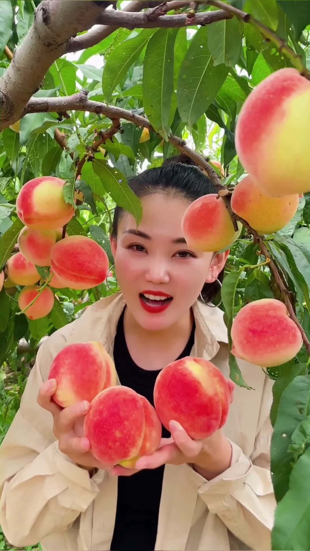 Cover for Fruit 🍑 🍑 🍑