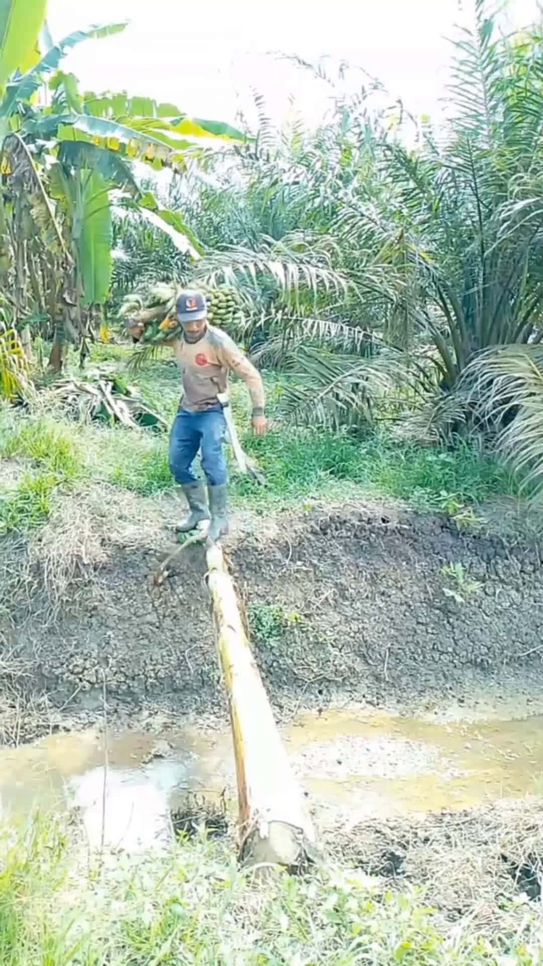 Cover for ☺😂 #funnyvideo #haha #fyp #likes #foryou  