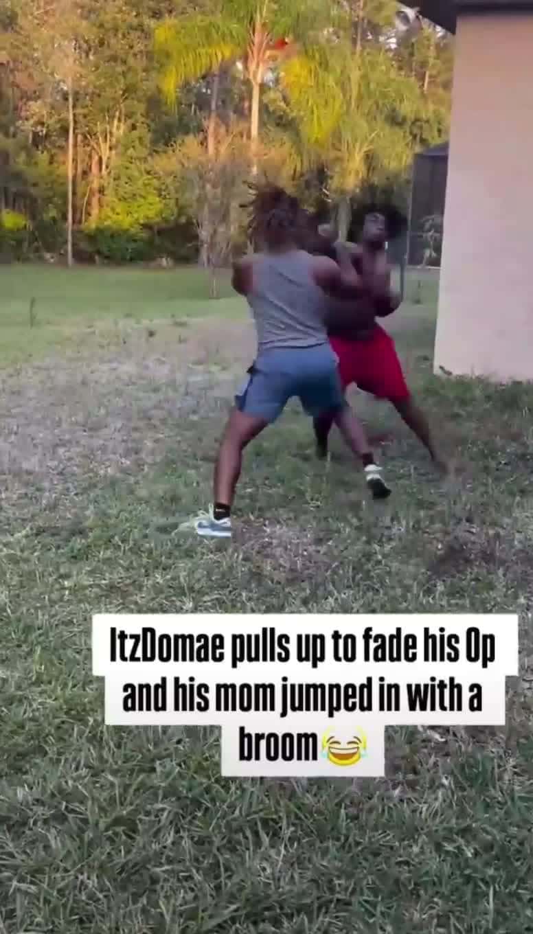 Cover for Not the momma getting in  #fighting
