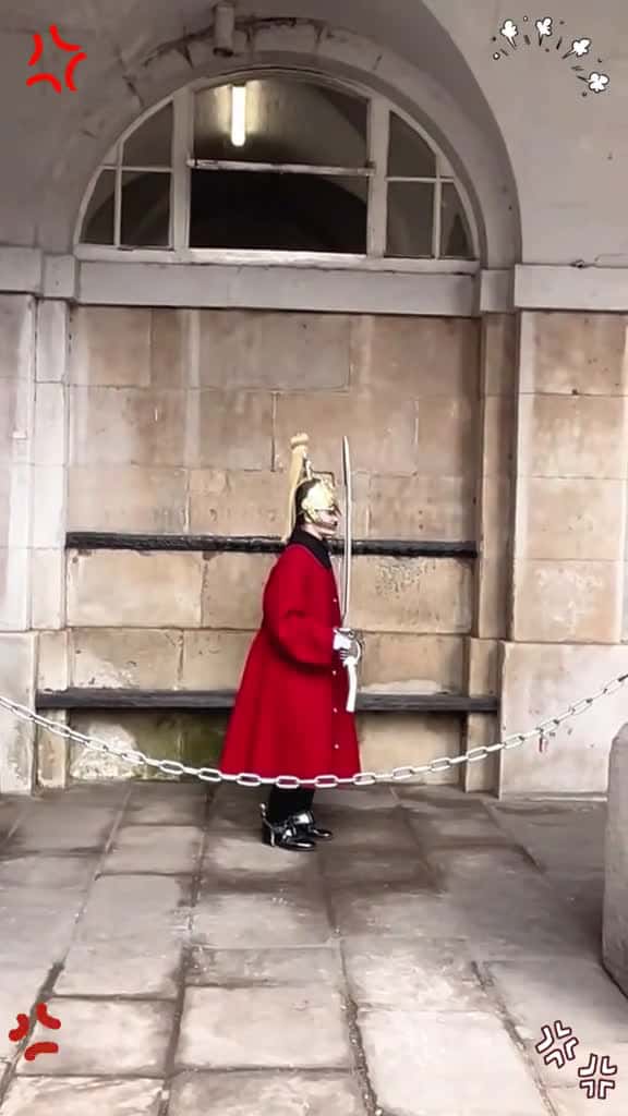 Cover for Rude tourists disrespecting the king s guards. kingsguard royalguard horse fyp tictok resp 09483 #ilovescoopz