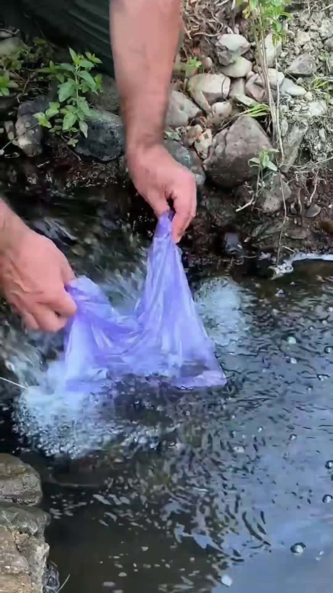 Cover for Survival Outdoors Skills  #survivalbushcraftskills  #bushcraftsurvivalskills   #shorts #outdoors  #camping #bushcraft #lifehacks #DIY #hacks  #cooking #skills #video #faryou #page #please #tiktok #trending #uk