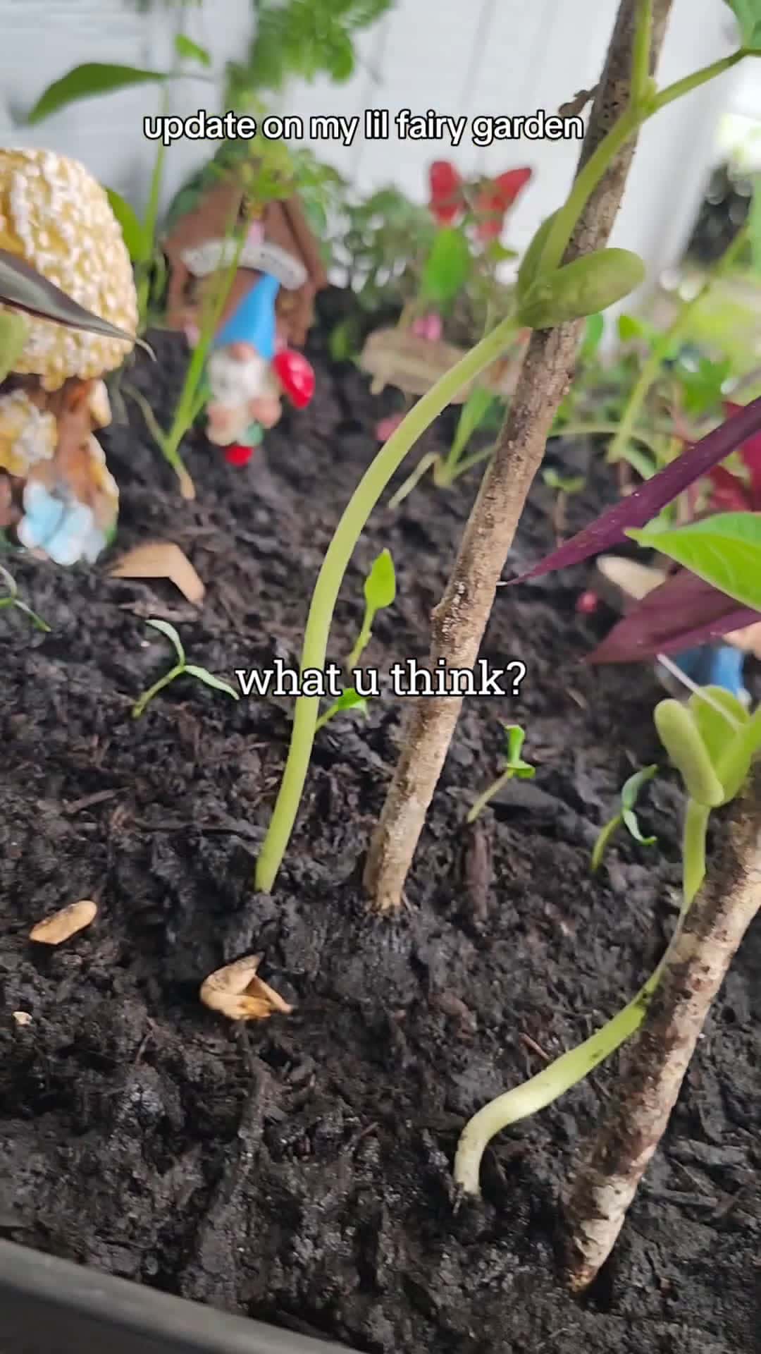 Cover for garden fun