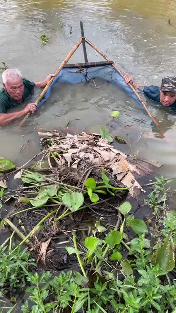 Cover for Surprised catch fishing 74783 #nicevideo