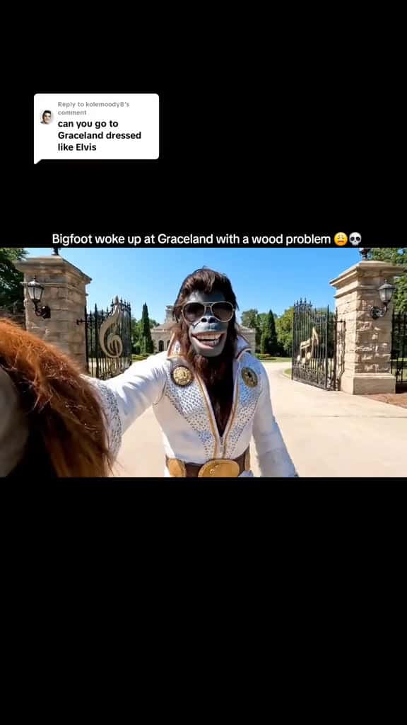 Cover for 'Replying to @kolemoody8 Bigfoot made it to Graceland just in time for the face Paint 🫣🫢 Now Where does he go next? #Bigfoot #MorningWood #Graceland #FunnyTikTok #BigfootSighting' by World of Skilla