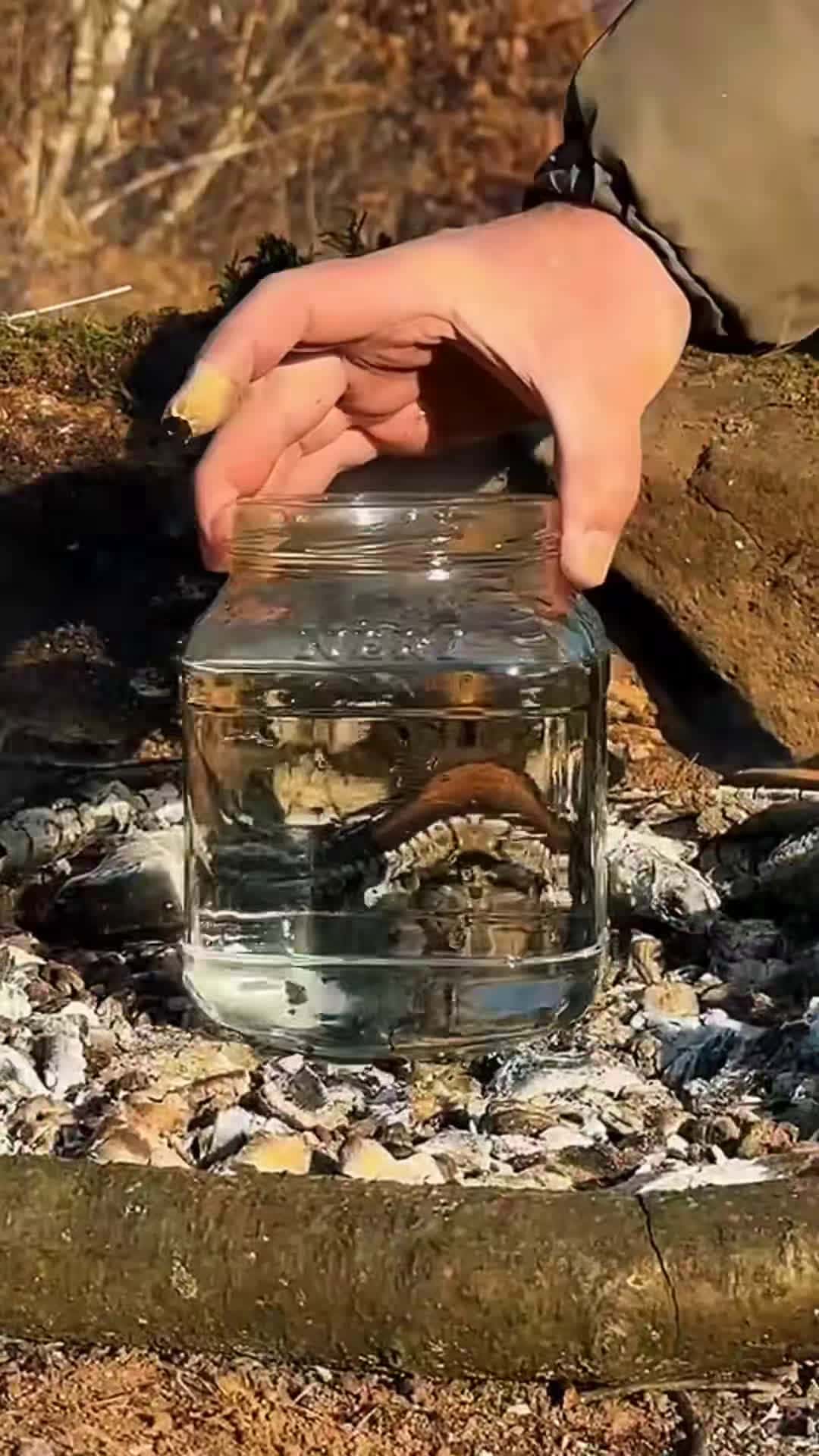 Cover for These Life Hacks Will Surprise You. ##survivalskills #survivaltips #survivalshow #sergiooutdoors #foresta #ideas #outdoors #camping #lifehacks #fyp #skills